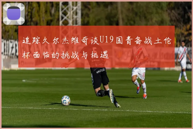 追踪久尔杰维奇谈U19国青备战土伦杯面临的挑战与机遇