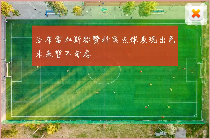 法布雷加斯称赞科莫点球表现出色未来暂不考虑